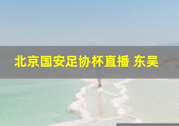 北京国安足协杯直播 东吴